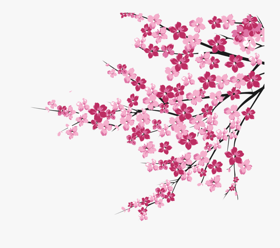 Cherry Blossoms Png Cherry Blossom Tree Clipart Png Free