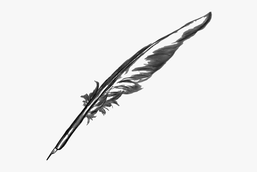 Feather Quill Pen Transparent Background Free Transparent Clipart