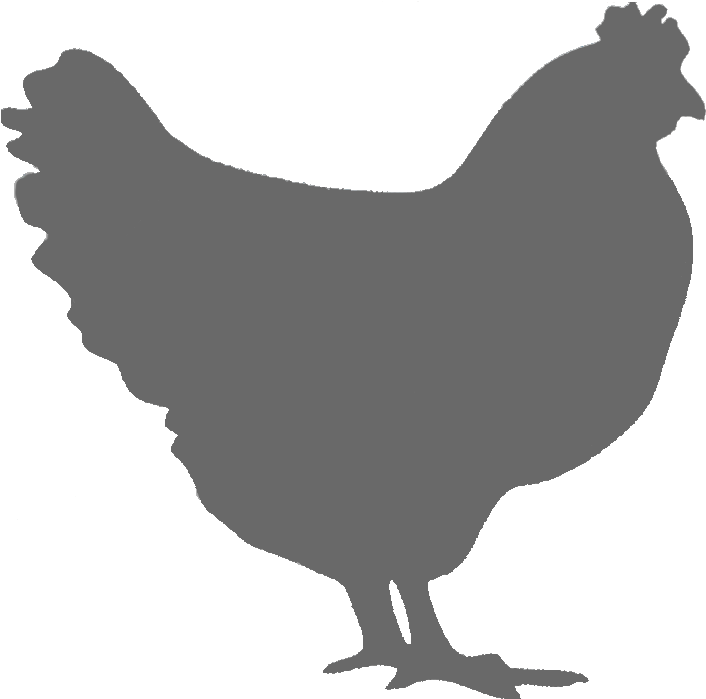 Download Roast Chicken Fried Chicken Rooster Image - Vector Chicken ...