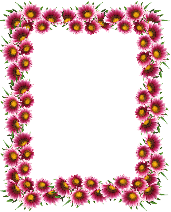 Download Frame, Border, Sun Daisies - Picture Frame - ClipartKey