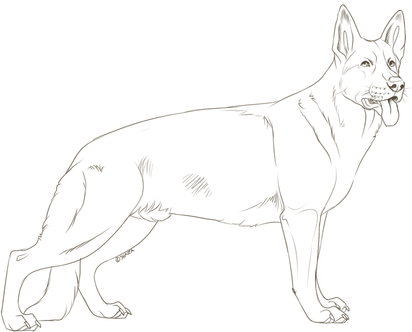 Download German Shepherd Brown Coloring Page, Printable German - Line ...