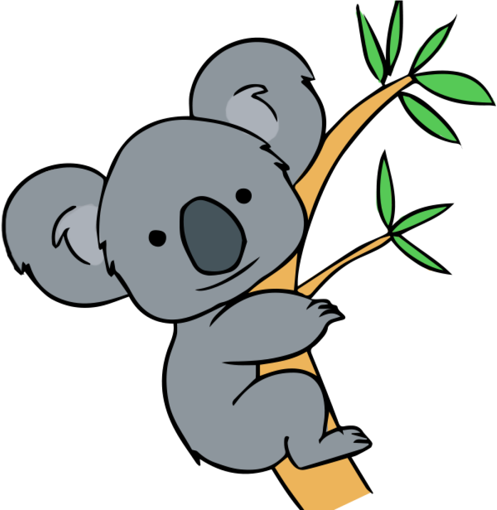 Download Transparent Koala Clipart - Koala Clipart - ClipartKey