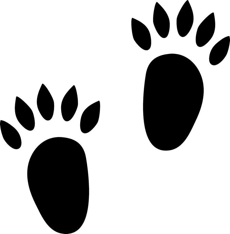 Download Hedgehog Paw Prints Clipart - ClipartKey