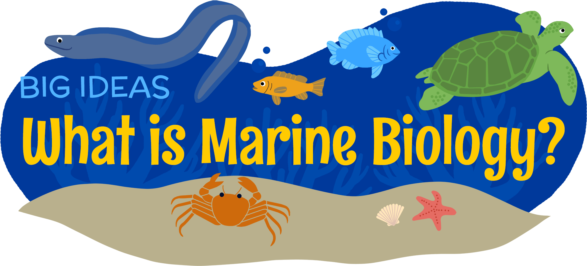 Download Transparent Kelp Clipart - Marine Biology Clipart - ClipartKey