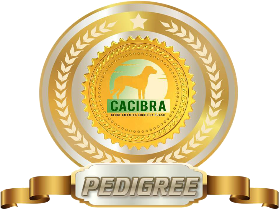 Download Transparent Pedigree Logo Png - Certificate Seal Transparent ...