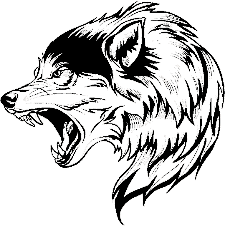 Download Transparent Wolf Vector Png - Wolf Head Png Vector - Clipartkey