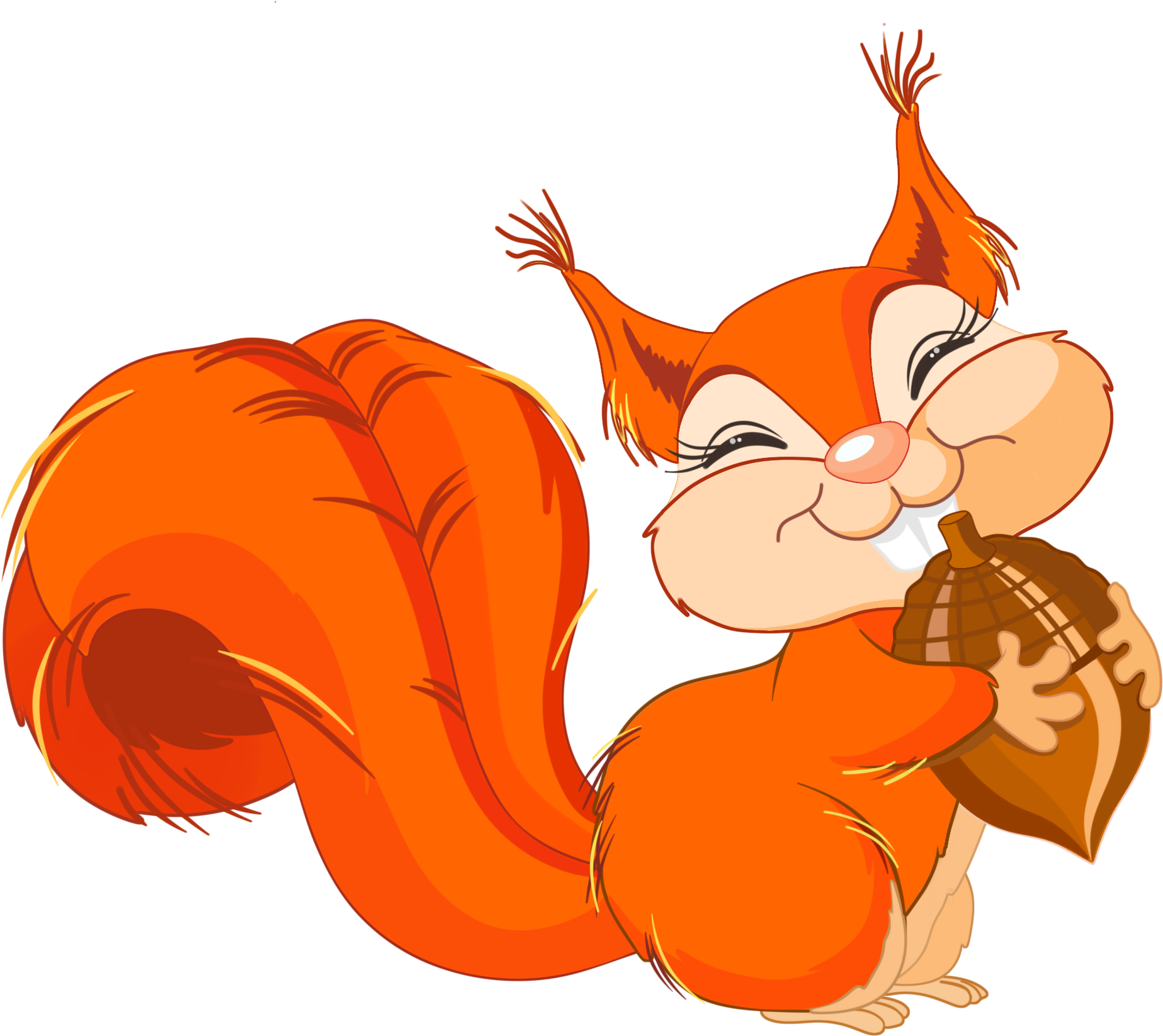 Download Transparent Squirrel Clip Art - Red Squirrel Cartoon - ClipartKey