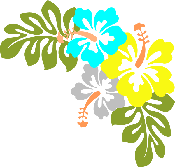 Download Transparent Hawaii Png - Hawaiian Flowers Transparent ...