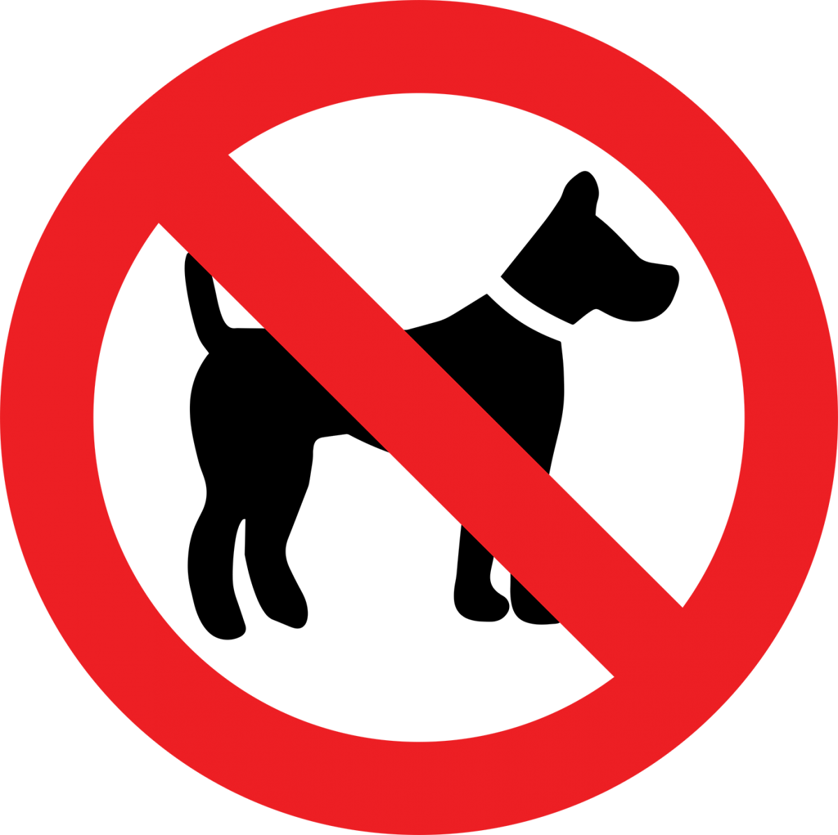 Download No Dogs Sign Cartoon - ClipartKey