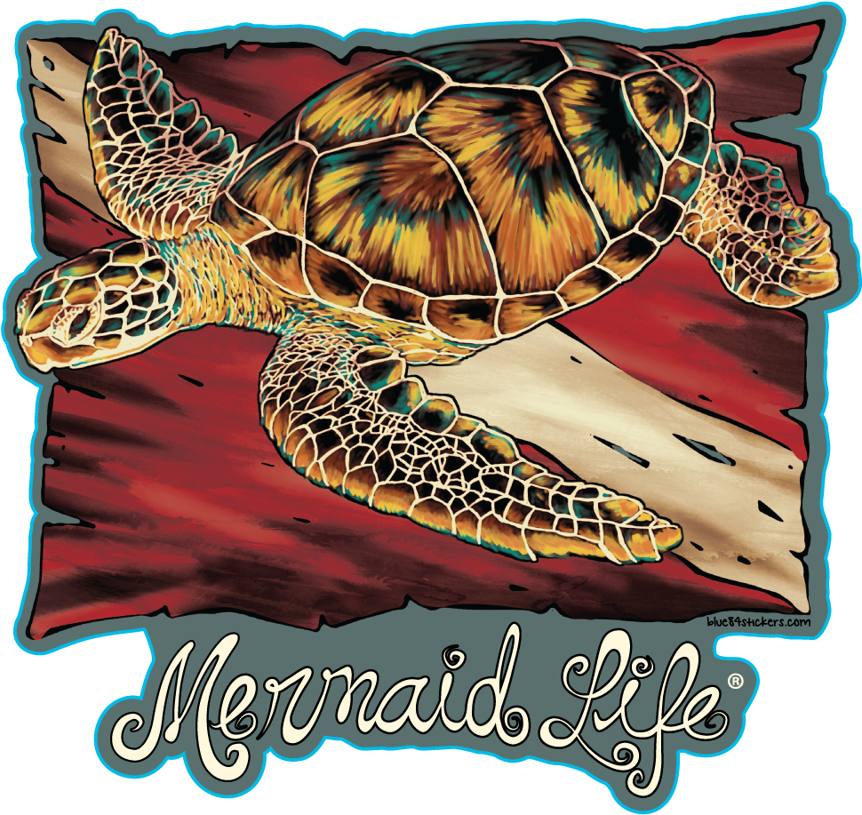 Download Hawksbill Sea Turtle - ClipartKey