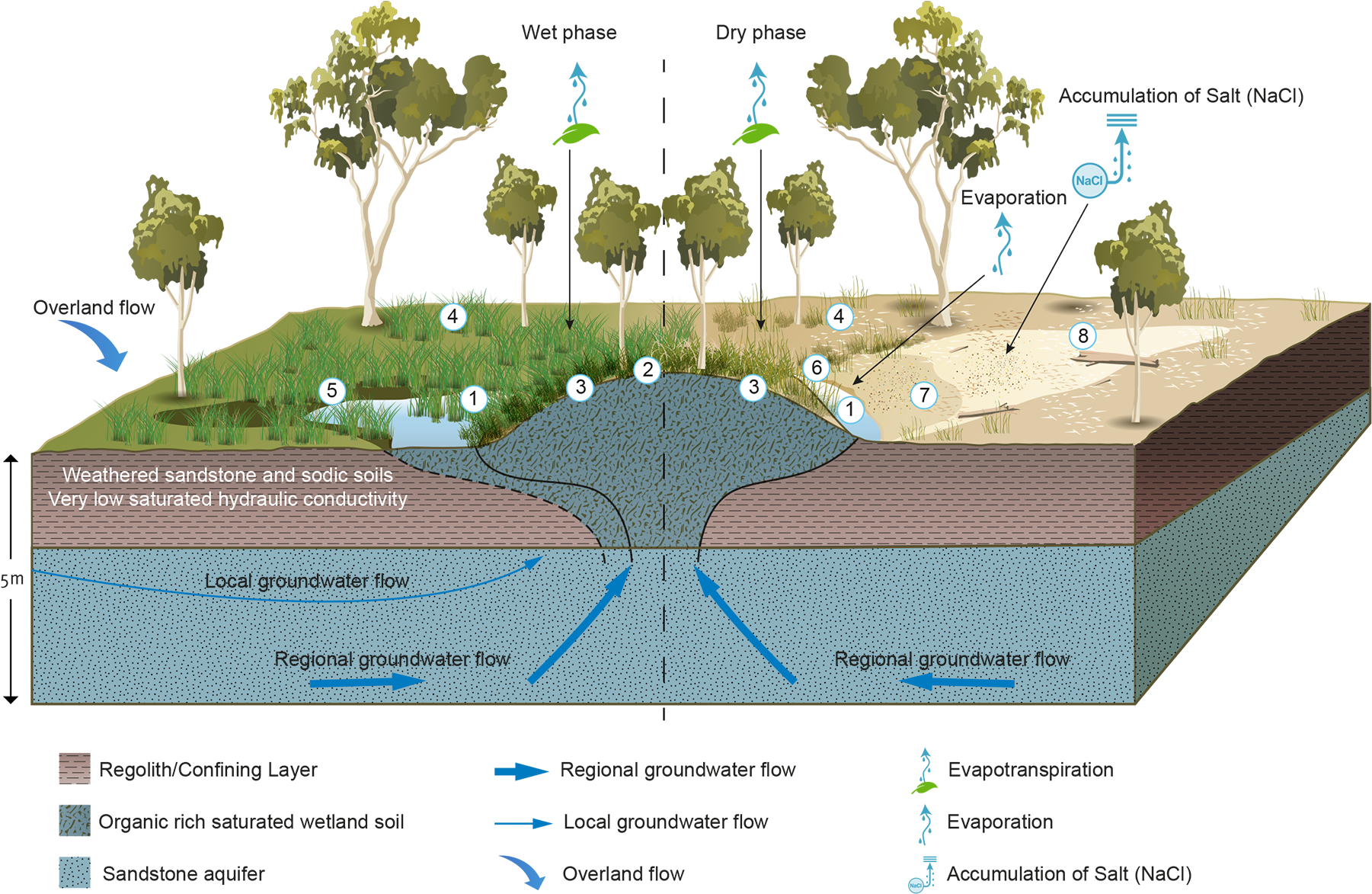 Download Transparent Ecosystem Clipart - Wetland Ecosystem Wetland ...