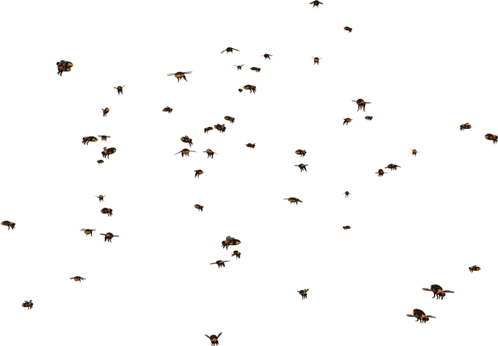 Download Transparent Swarm Clipart - Transparent Swarm Of Bees - ClipartKey