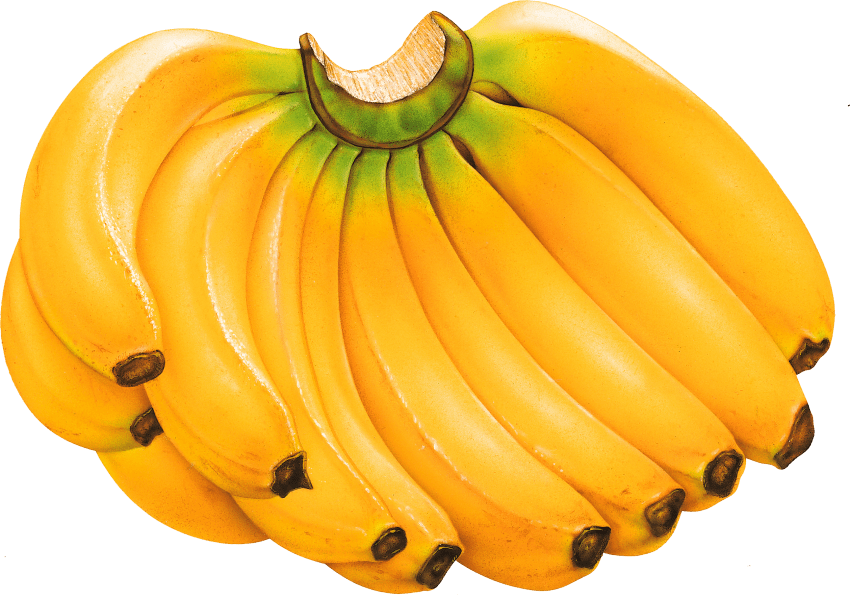 Download Banana Clipart Saging - Banana Png - ClipartKey