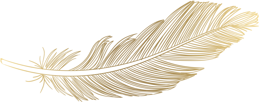 Download Gold Transparent Feather Png - ClipartKey