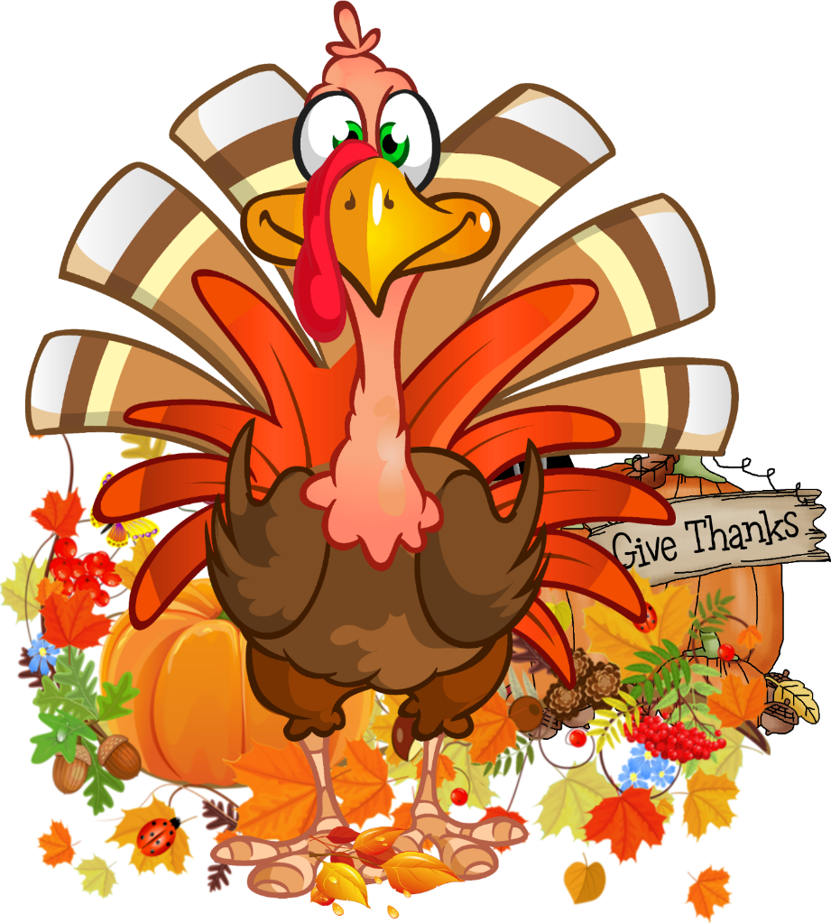 Download Transparent Thanksgiving Turkey Clipart - Turkey Cartoon Clear ...