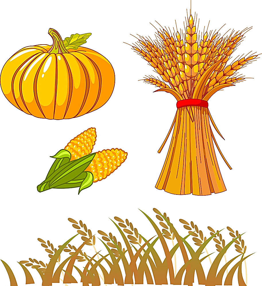 Download Autumn Drawing Clip Art - Fall Harvest Clip Art - ClipartKey