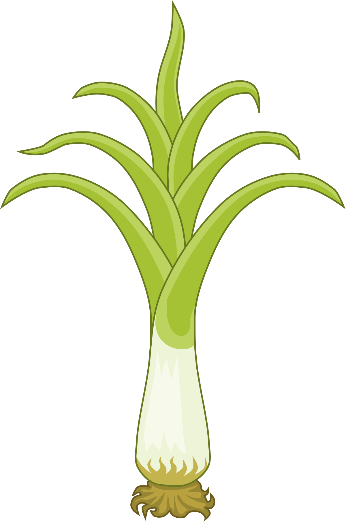 Download Welsh Leek Emblem - ClipartKey