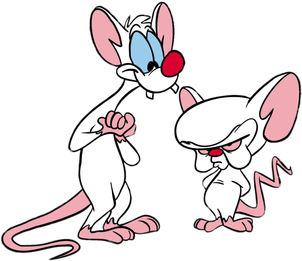 Download Pinky And The Brain - Pinky And The Brain Cartoon - ClipartKey