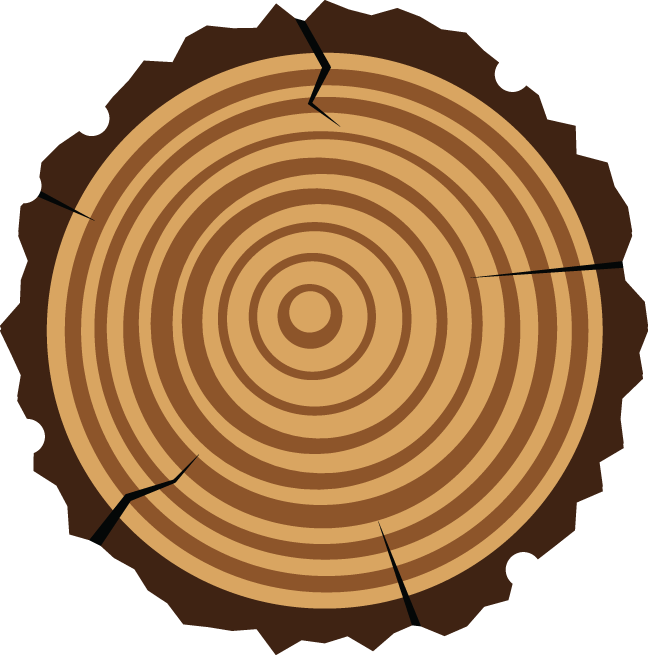 Download Tree Rings Png - Tree Rings Clip Art - ClipartKey