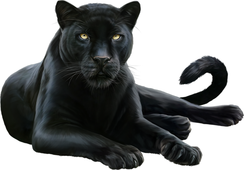 Download #blackpanther #jaguar #layingdown - Black Panther Animal Png