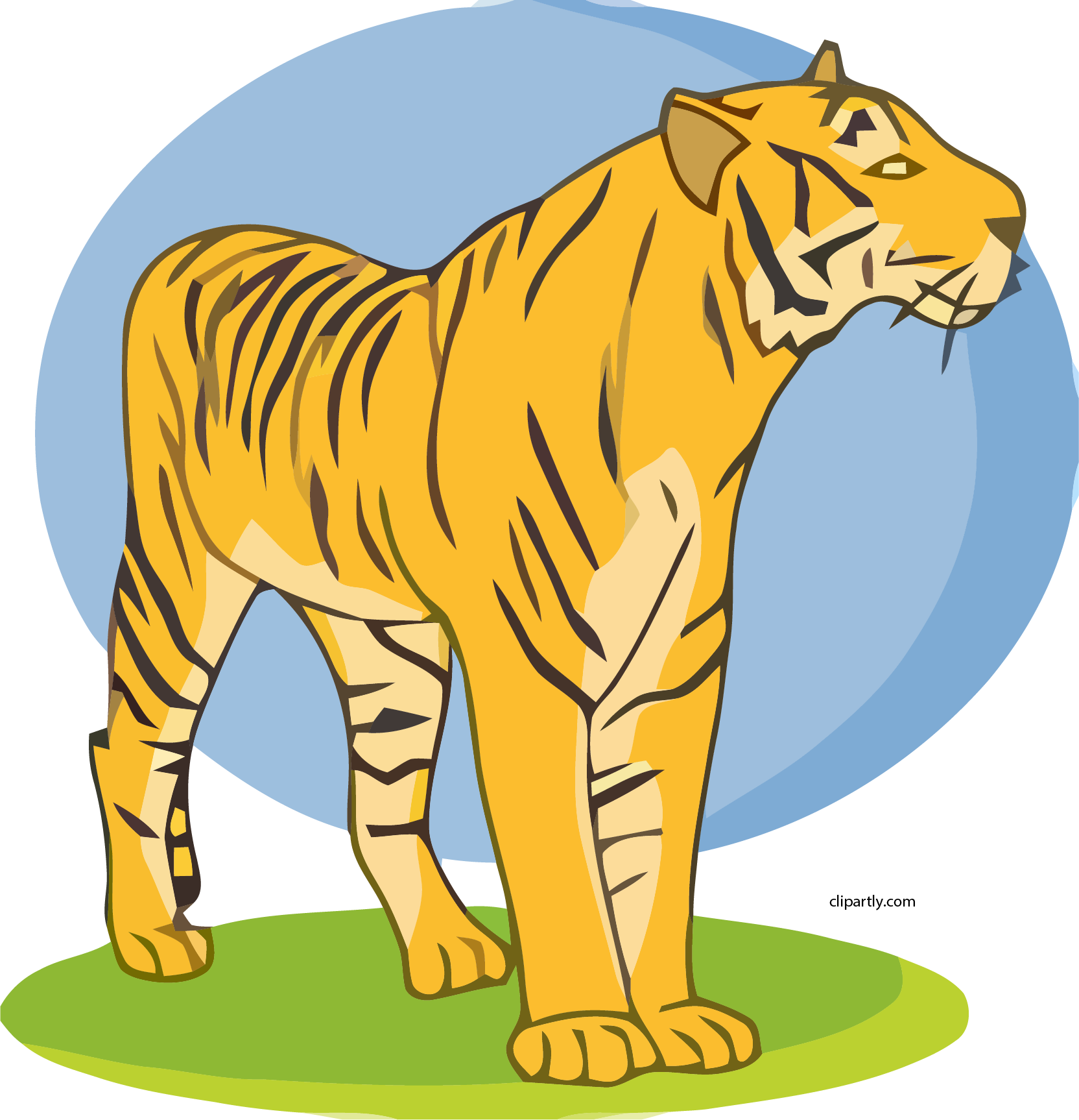 Download Tiger Clipart Png Clip Art Clipartkey