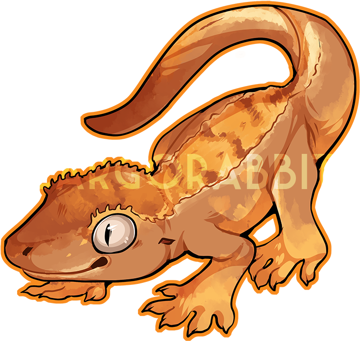 Download Crested Gecko - Crested Gecko Png - ClipartKey