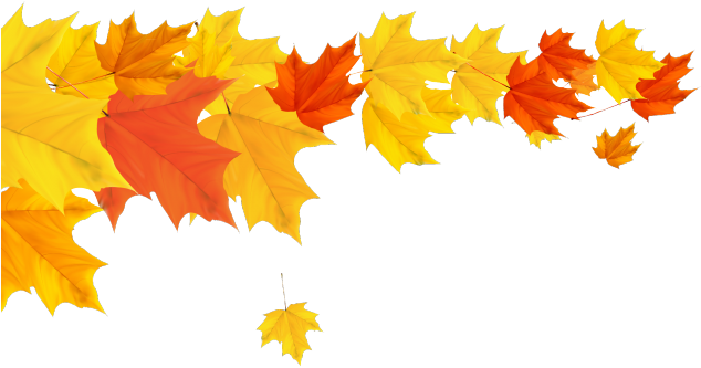 Download Autumn Divider Cliparts - Transparent Fall Leaf Border ...