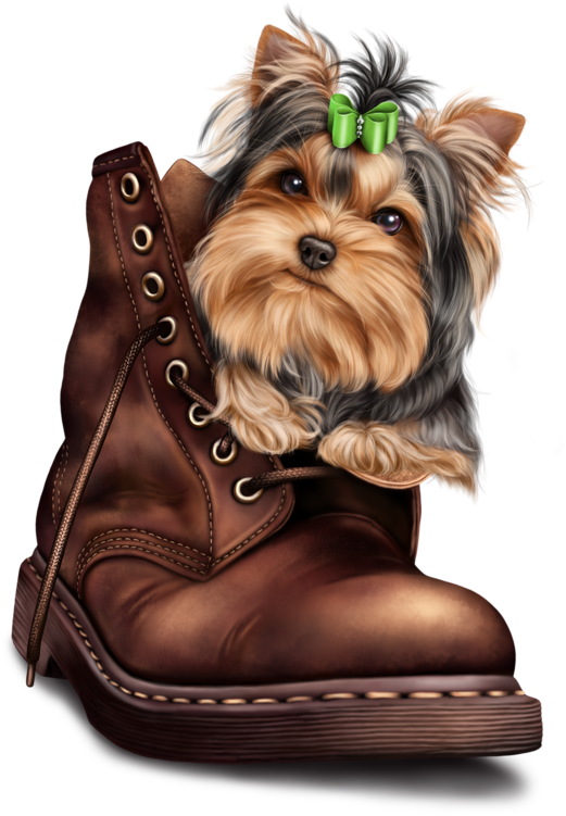 Download Transparent Yorkie Png - Yorkie Dog Clip Art - ClipartKey