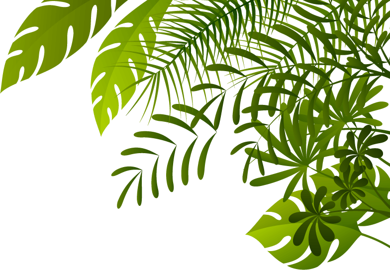 Jungle Leaves Background Clipart 7 Clipart Station