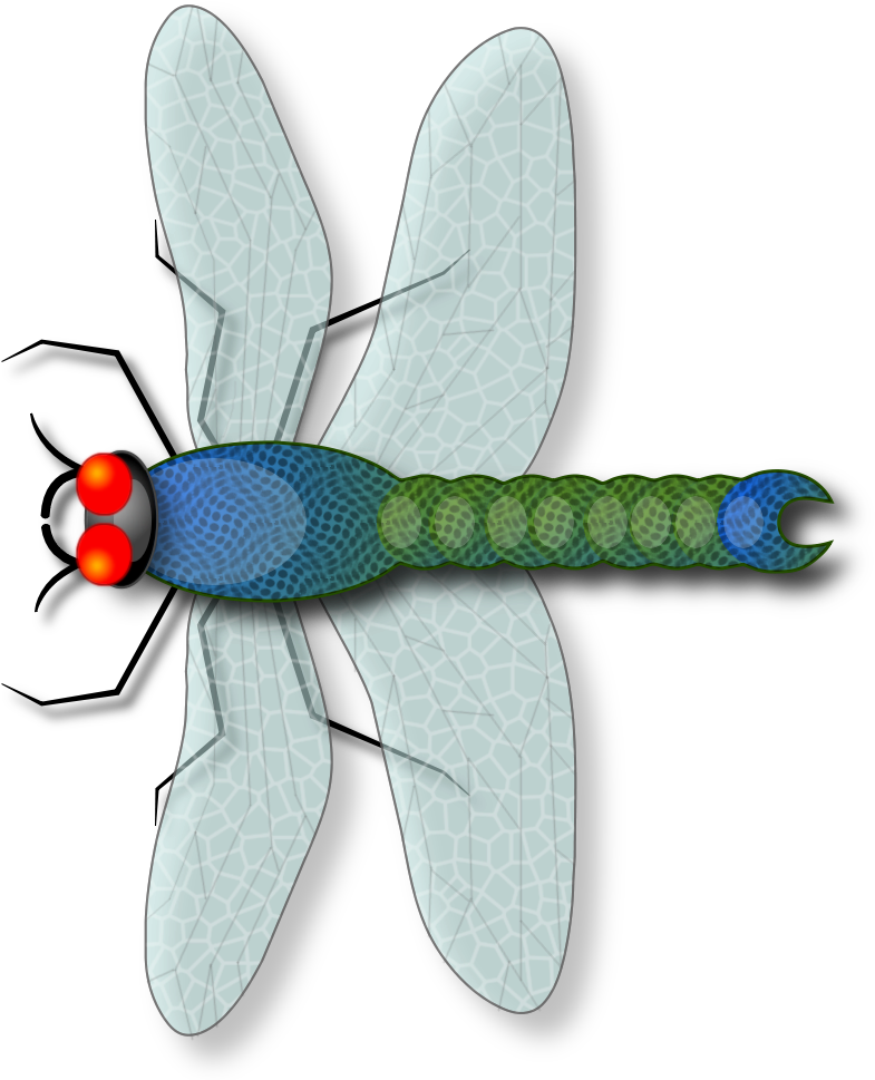 Download Dragonfly Clipart Damselfly Damselfly Clipartkey