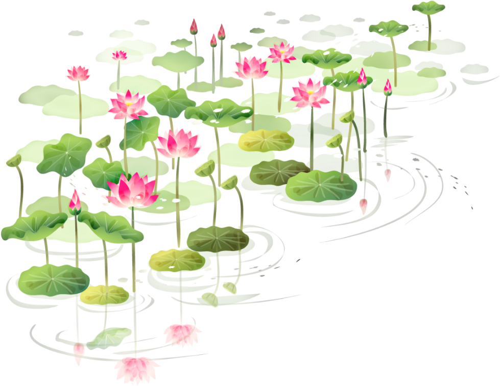 Download Lotus Clipart Shapla - Water Flower Png - ClipartKey