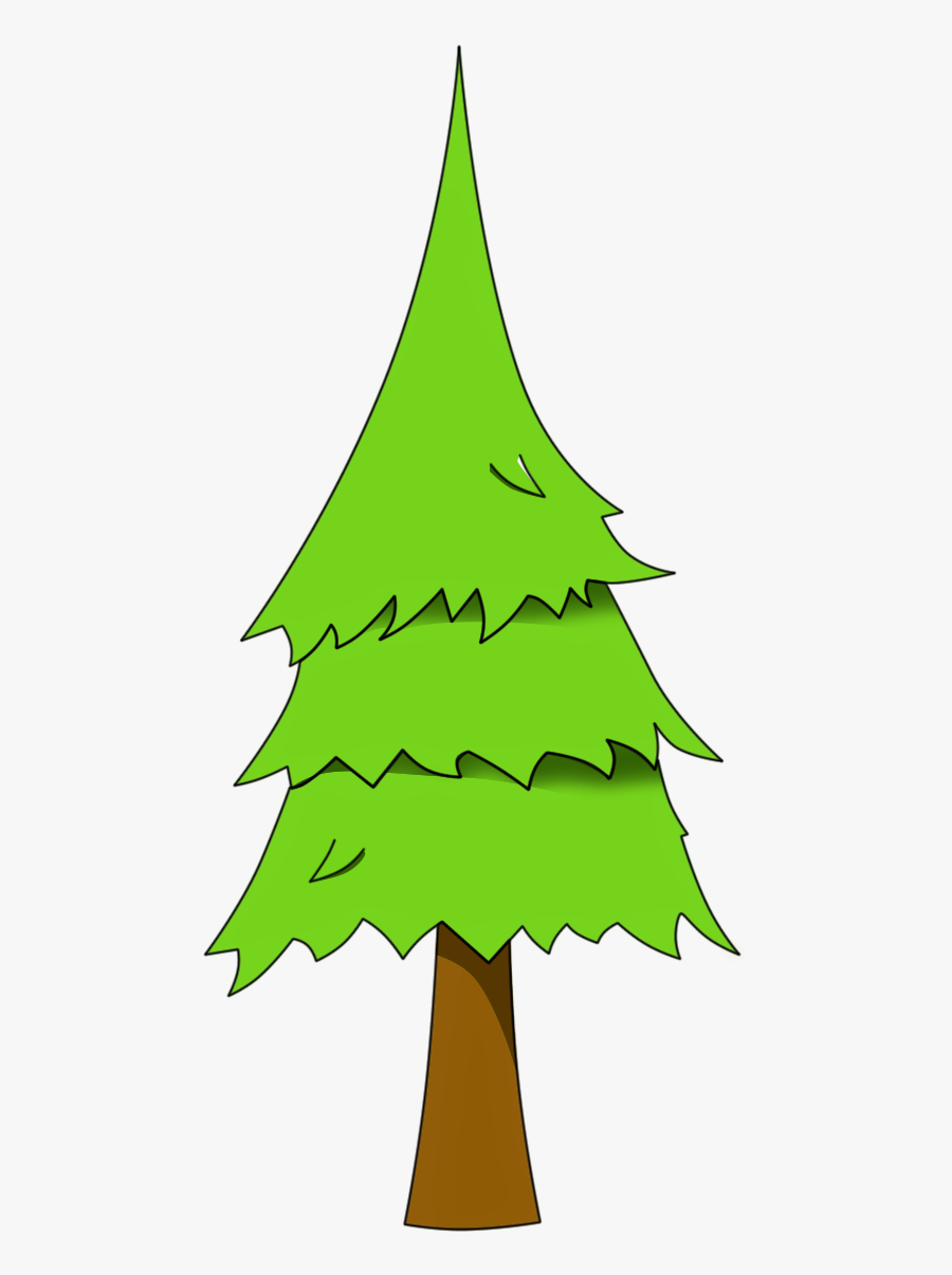 Pine Tree Png - Pine Tree Clipart, Transparent Clipart