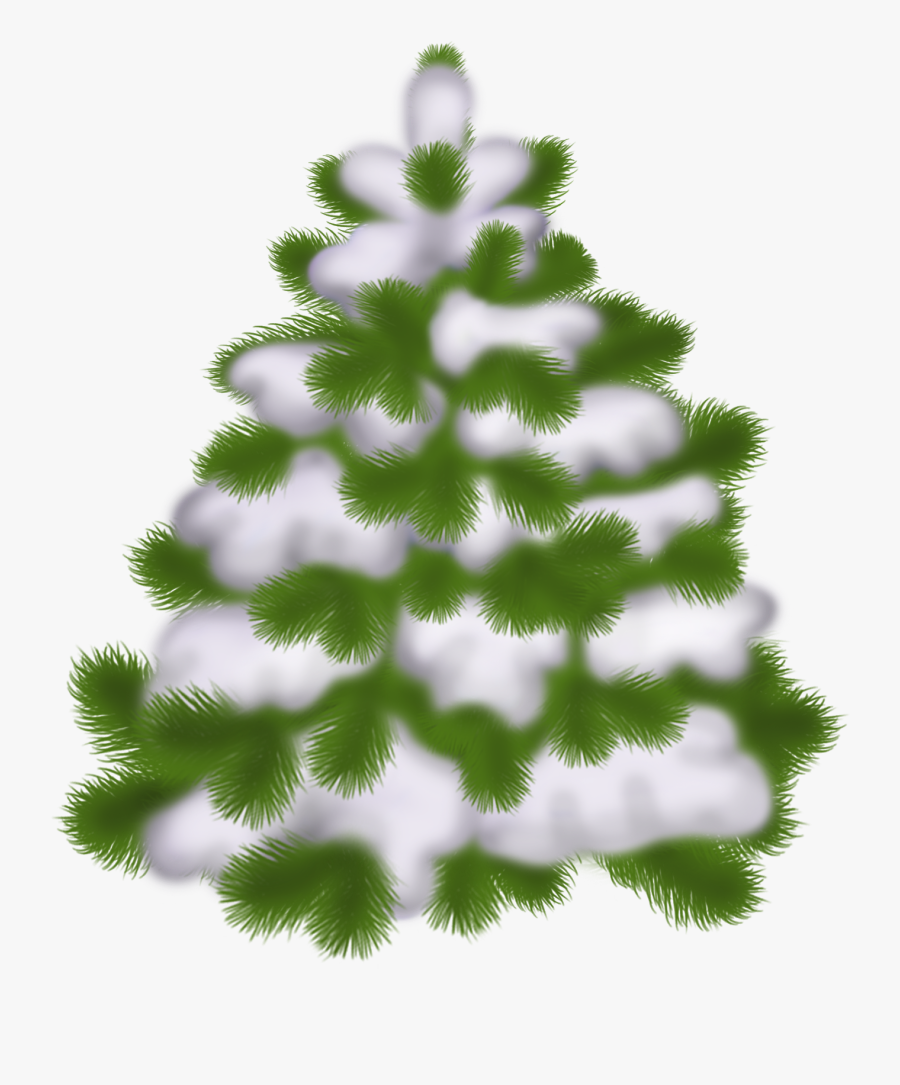 Transparent Christmas Tree Winter, Transparent Clipart