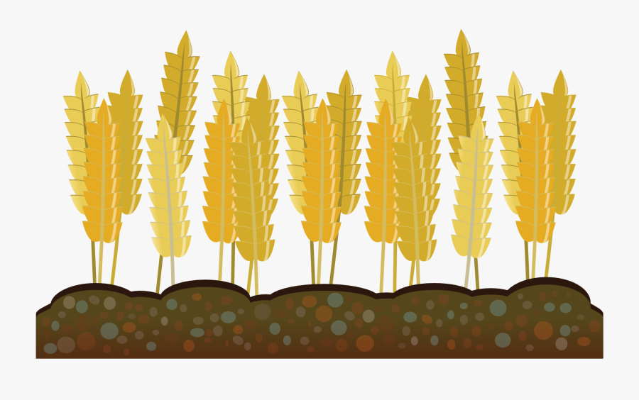 Crops Clip Art Bing Images - Wheat Crops Clipart, Transparent Clipart