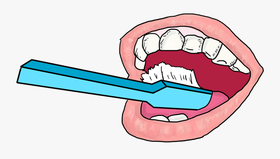 Brush Teeth Brushing Cleaning Dental Hygiene Transparent - Brushing Teeth No Background, Transparent Clipart