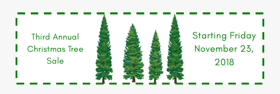 Christmas Tree Sale At The Conshohocken Free Library - Pine Tree Vector Png, Transparent Clipart