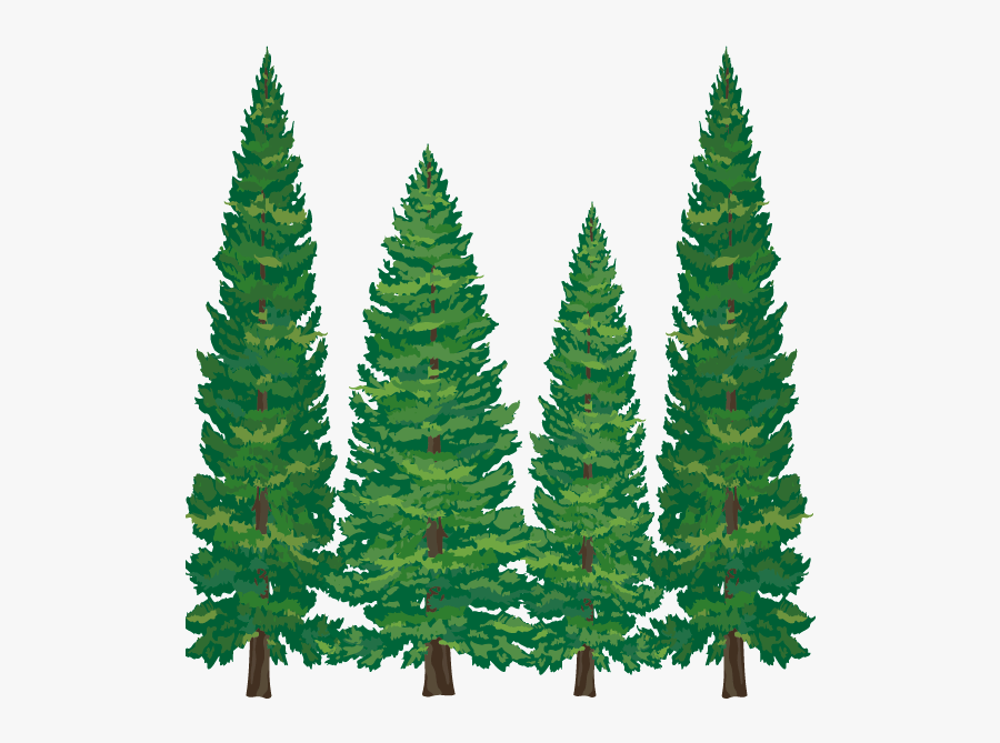 Pine Tree Clipart Softwood - Transparent Pine Tree Clipart, Transparent Clipart