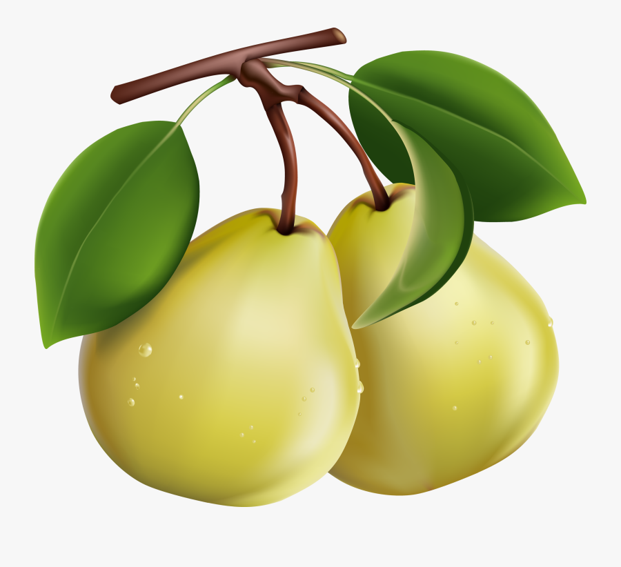 Pear Fruit Clip Art - Pears Clipart Png, Transparent Clipart