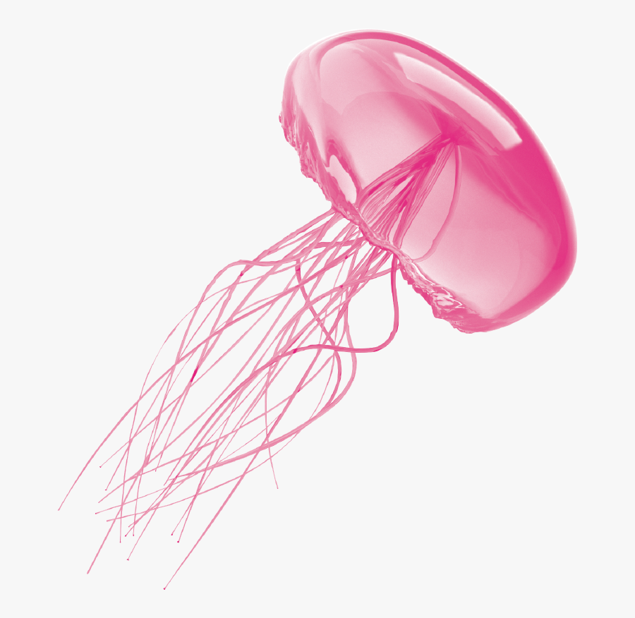 Transparent Cute Jellyfish Clipart - Transparent Background Jellyfish Transparent, Transparent Clipart