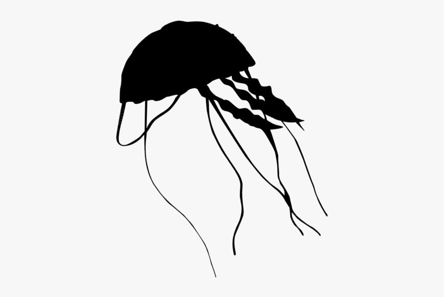 Transparent Jellyfish Clipart Png - Sketch, Transparent Clipart