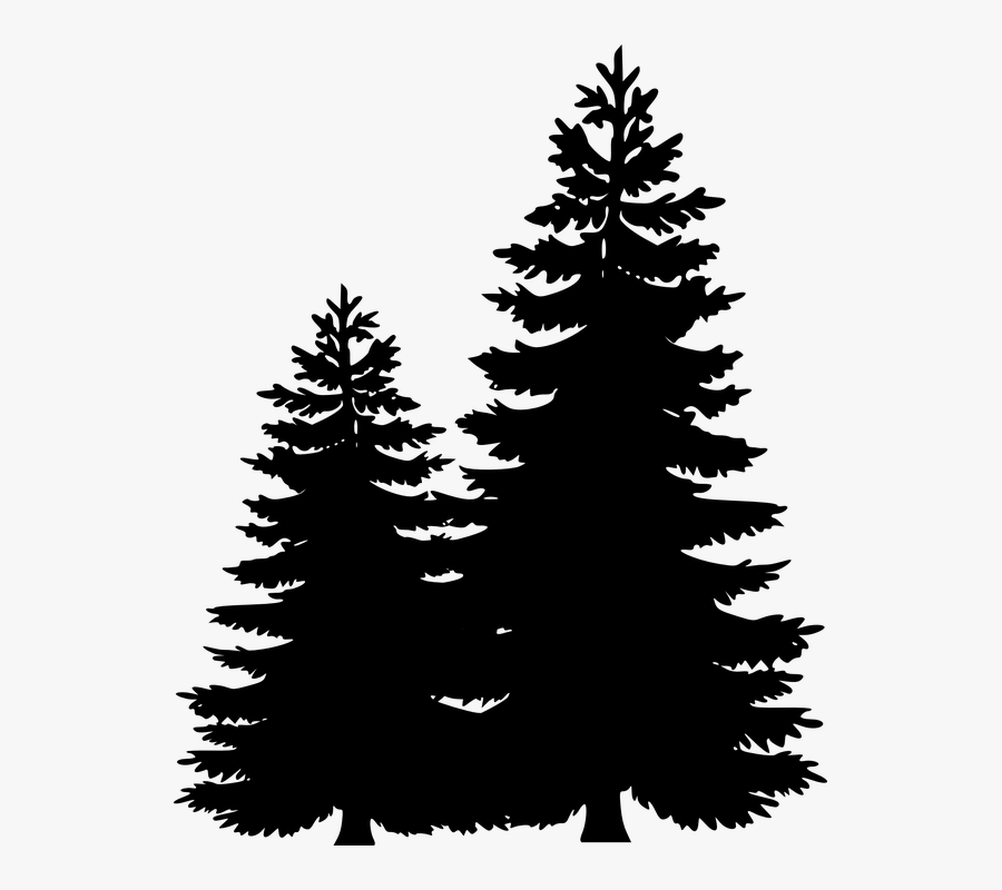 Clip Art Portable Network Graphics Pine Tree Image - Vector Pine Tree Png, Transparent Clipart