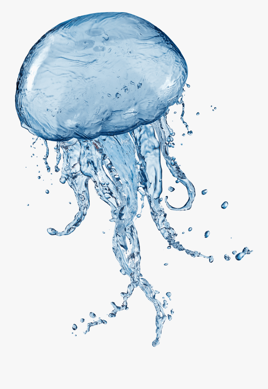 Jellyfish Transparent Images Png - Jellyfish Png, Transparent Clipart