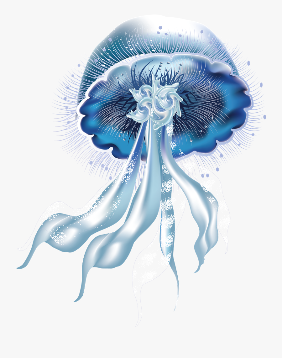 Picture Arts - Transparent Background Jellyfish Png , Free Transparent