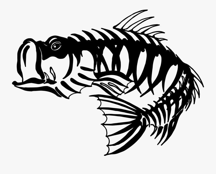 Free Bass Skeleton Cliparts, Download Free Clip Art,, Transparent Clipart