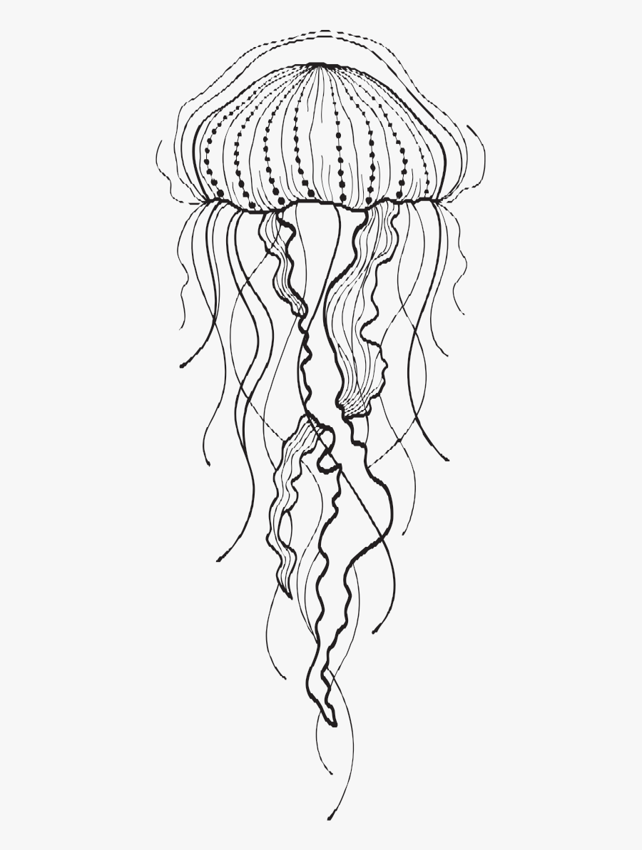 Clip Art Collection Of Free Drawing - Black And White Drawings Of Jelly Fish, Transparent Clipart