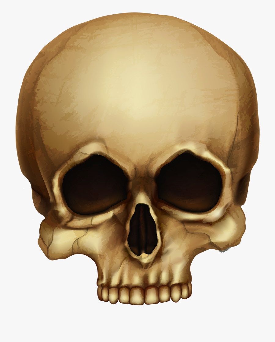Halloween Skull Png Picture - Halloween Skull Transparent, Transparent Clipart
