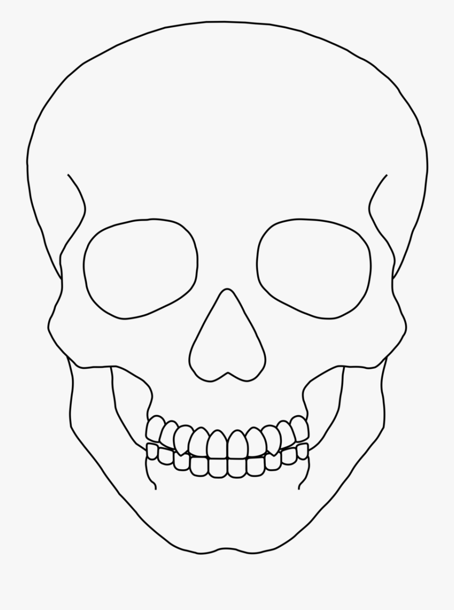 Skeleton Clipart Plain Simple Human Skull Drawing , Free Transparent