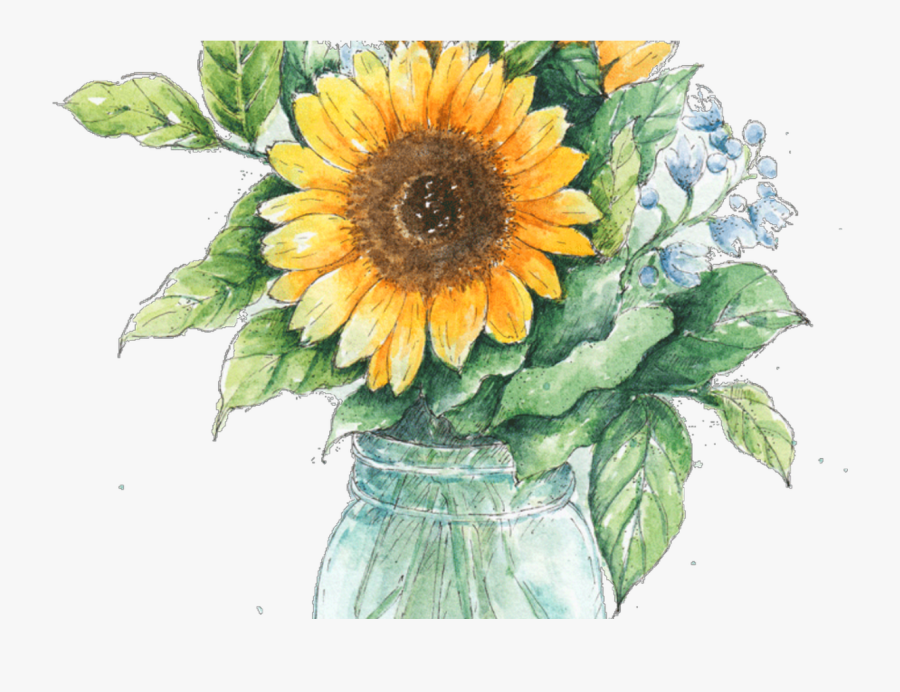 Jar Drawing Ubisafe - Sunflower In A Mason Jar, Transparent Clipart