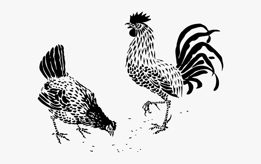 Chicken Eating Vector Png, Transparent Clipart
