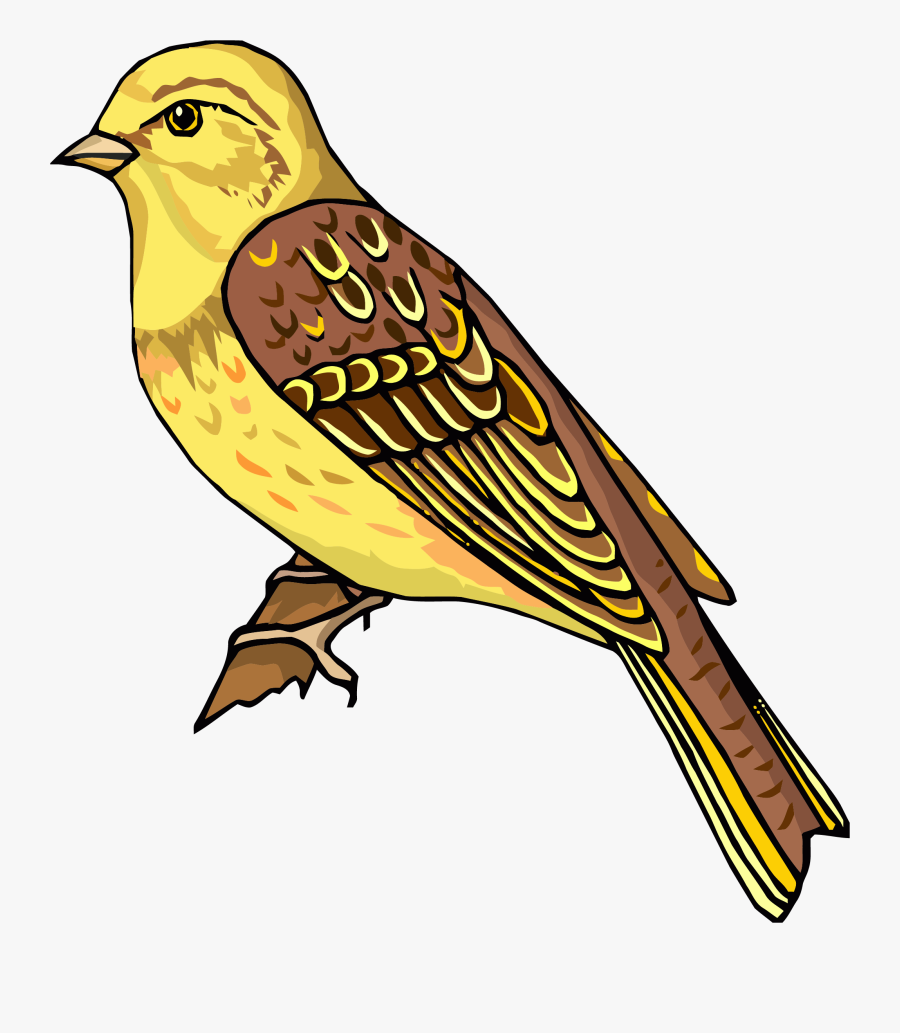 Staying Realistic Bird Clipart Png - You Turn Your Worry Into Worship, Transparent Clipart